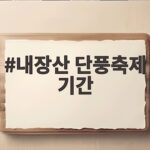 내장산 단풍축제 기간