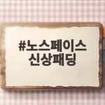 노스페이스 신상패딩