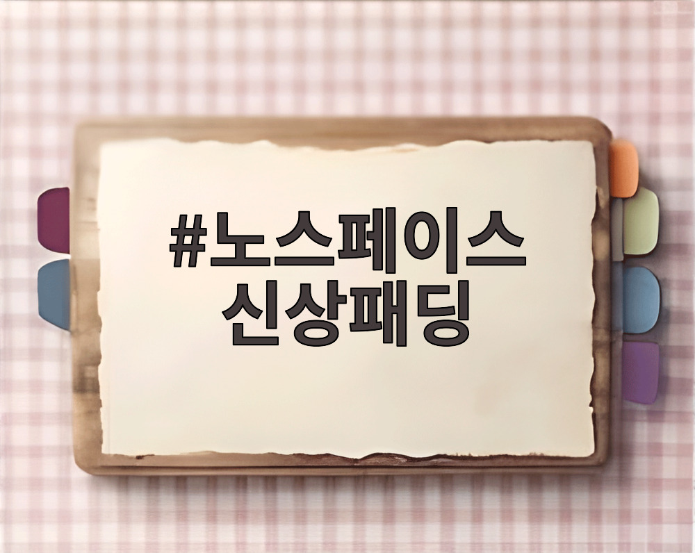 노스페이스 신상패딩