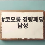 코오롱 경량패딩 남성 어떤 제품이 좋을까 올겨울 따뜻하게 입는 법 코오롱 경량패딩 남성
