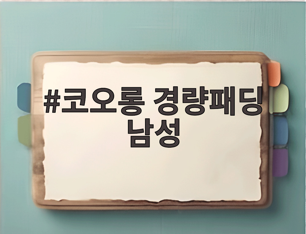코오롱 경량패딩 남성