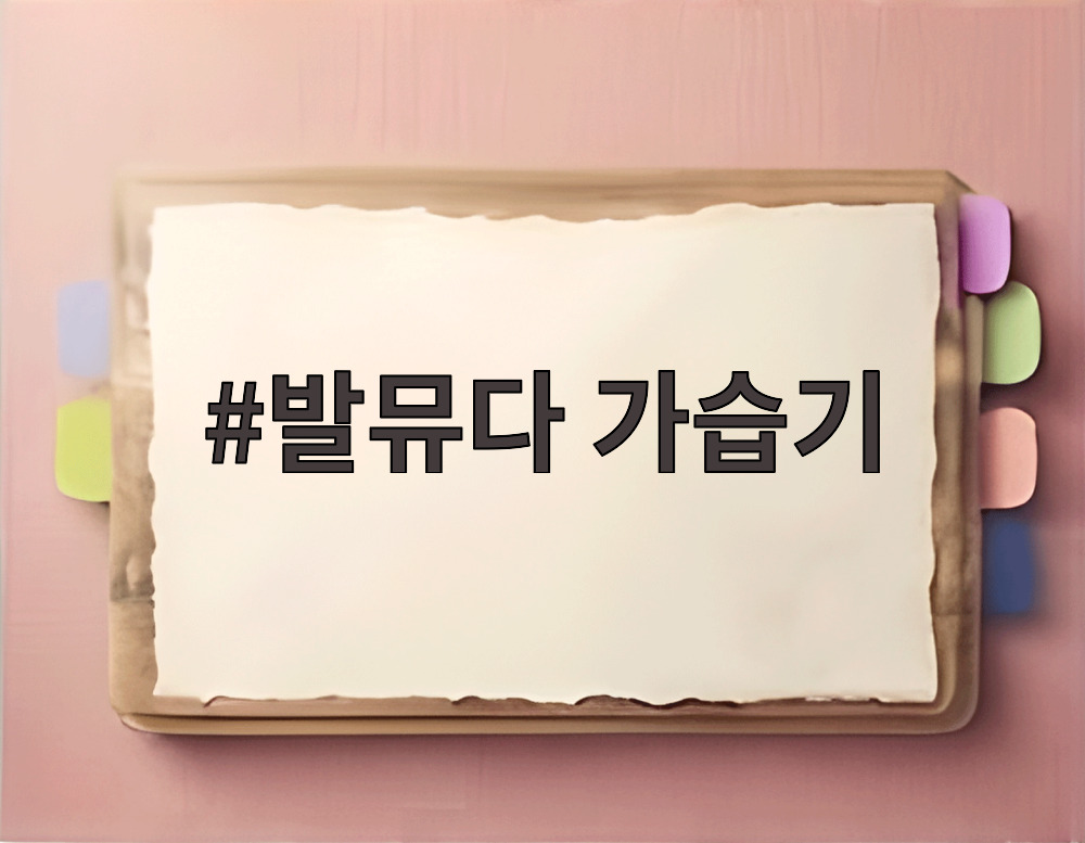 발뮤다 가습기