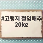 고랭지 절임배추 20kg 김장철 예약 가격과 수령일 한눈에 고랭지 절임배추 20kg