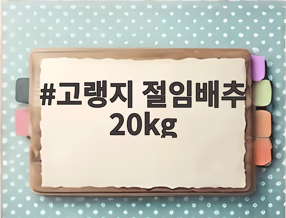 고랭지 절임배추 20kg