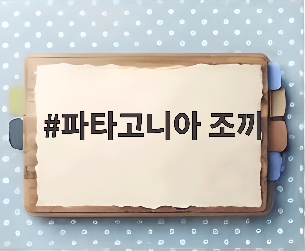 파타고니아 조끼