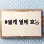 찔레 열매 효능 붉게 익은 가을 보석의 놀라운 쓰임새 찔레 열매 효능